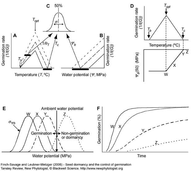 Effects of temperature and water potential on germination rate