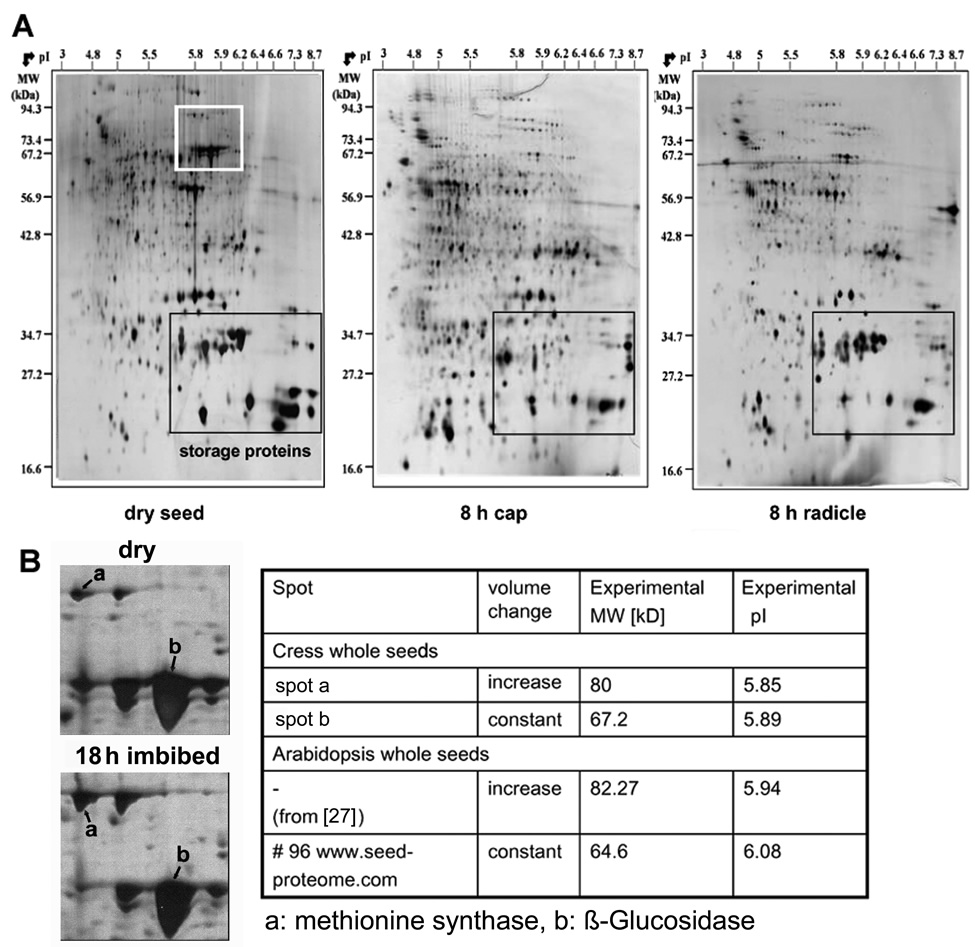 Fig. 2 Mueller 2010 Proteomics