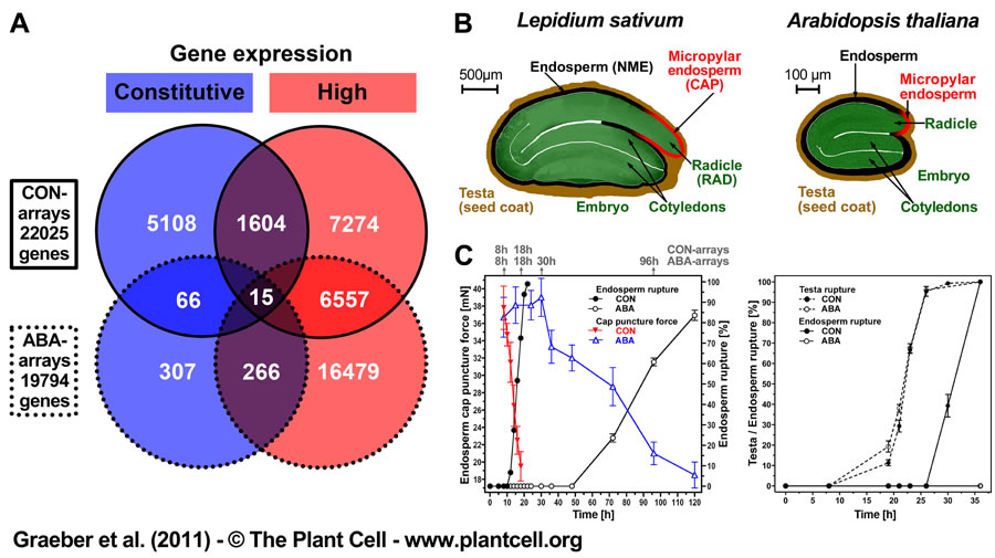 Candidate refernce gene selection