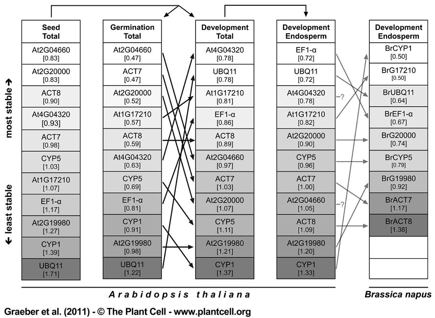 Cross-species reference gene ranking