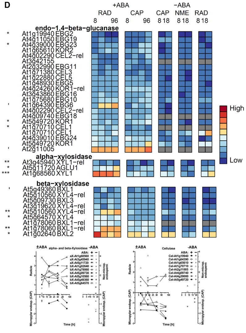 Cellulases and xylosidases heat map