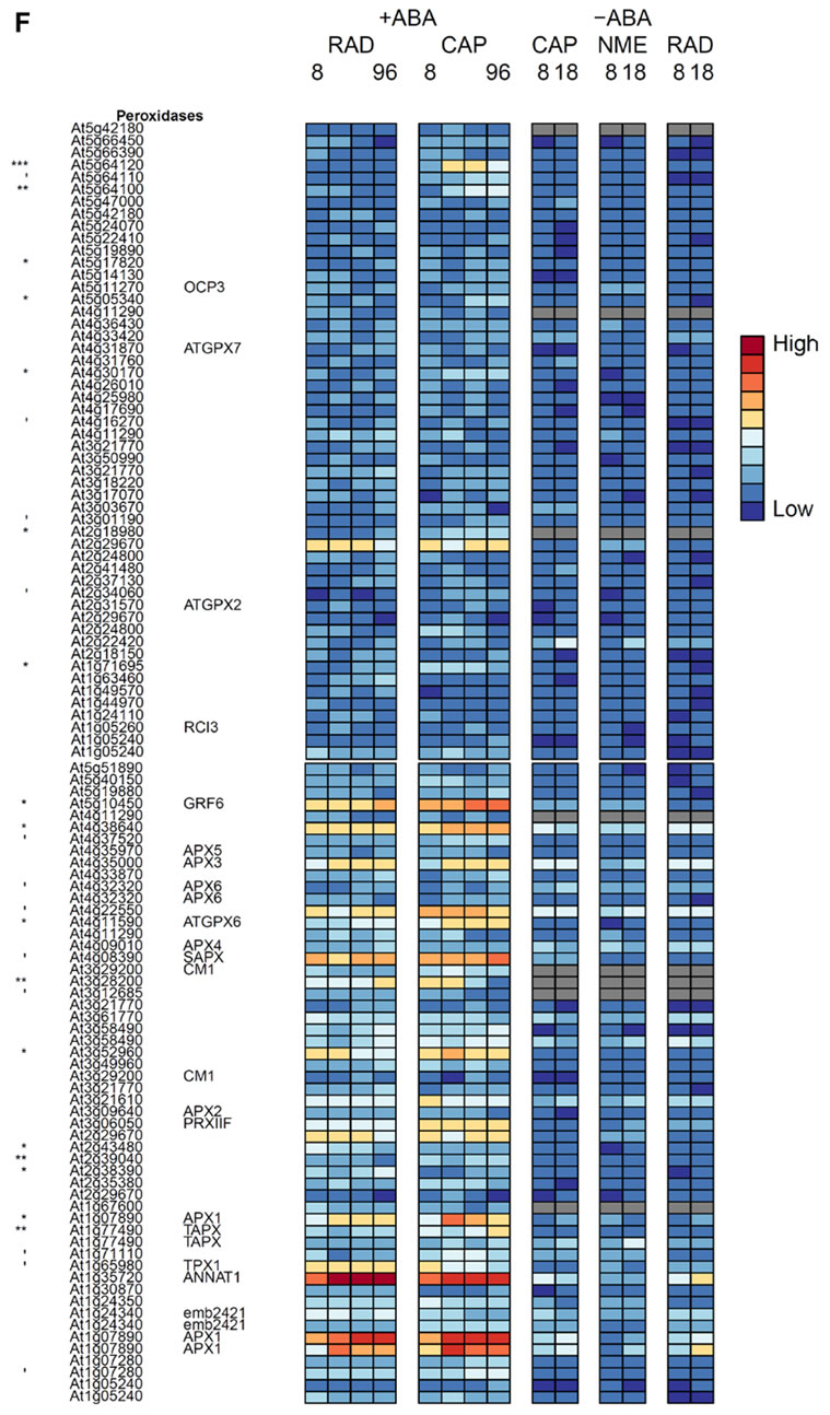 Peroxidases heat map