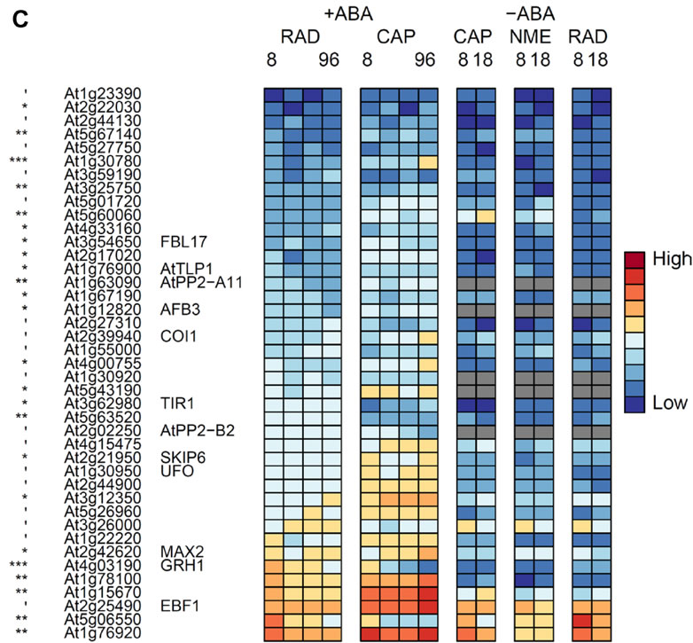 F-box-proteins differentially expressed in CAP and RAD