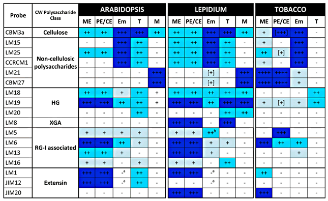 Seed Cell Wall Epitopes