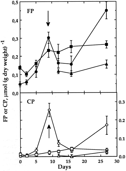 Fig. 2 tuberization
