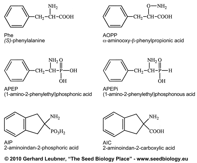 phenylalanine analogs