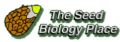 The Seed Biology Place - Logo